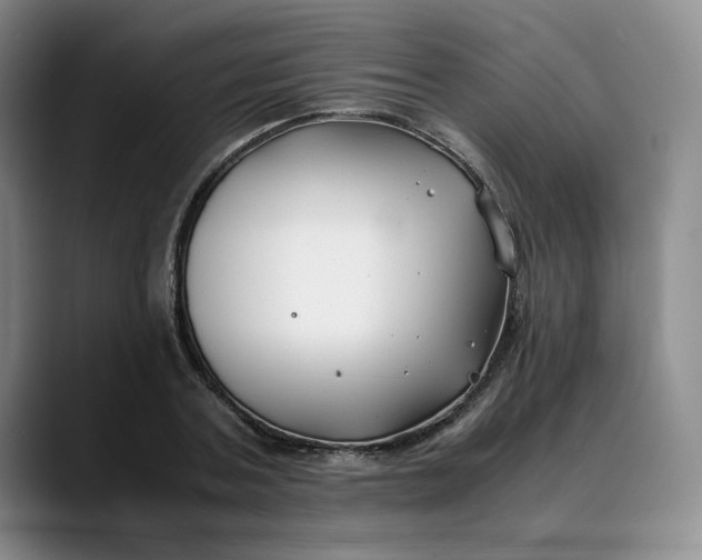 X0000088680787200706141353