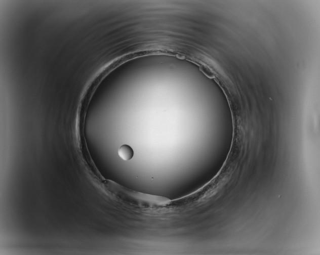 X0000088680788200706141353