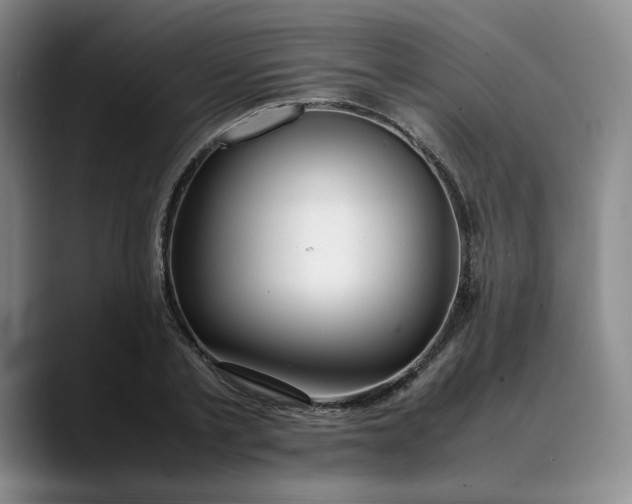 X0000088680789200706141353