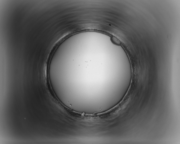 X0000088680790200706141353