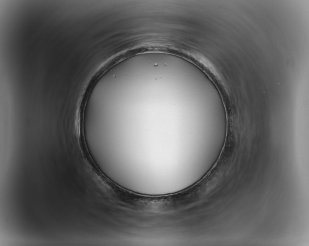 X0000088680791200706141353