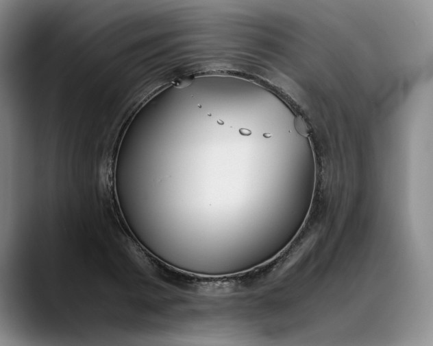X0000088680793200706141353