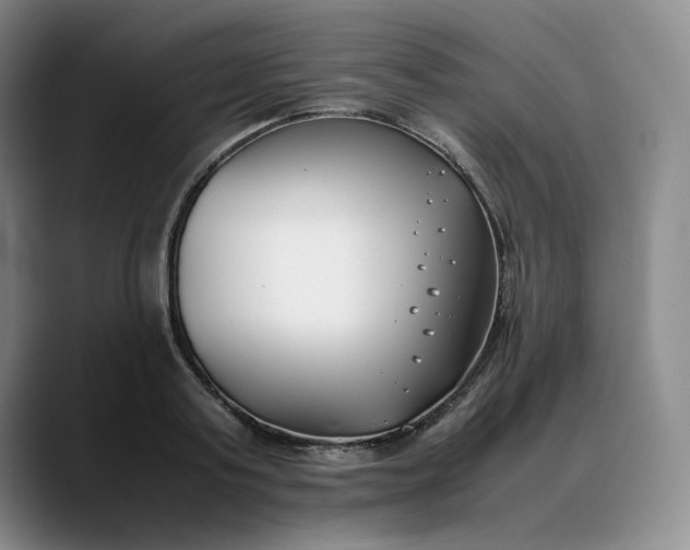 X0000088680795200706141353