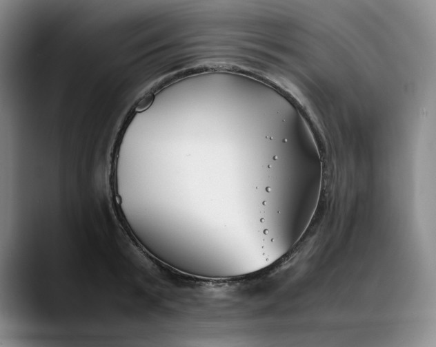 X0000088680799200706141353