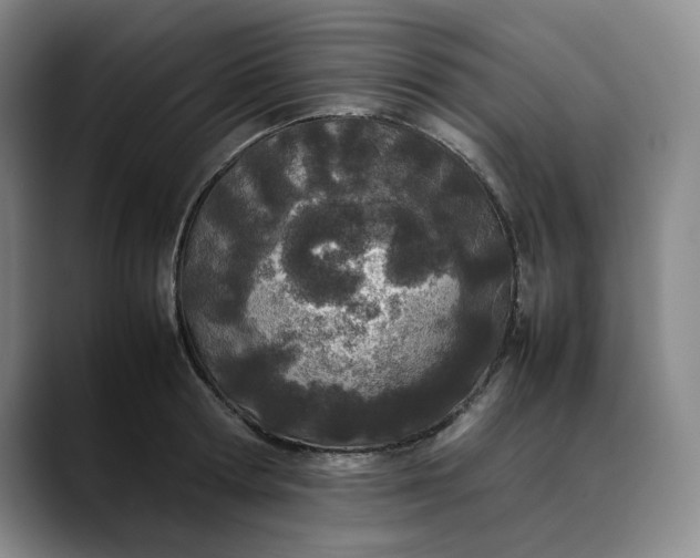 X0000088680802200706141353