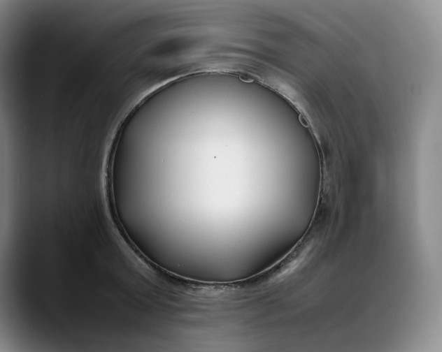 X0000088680803200706141353