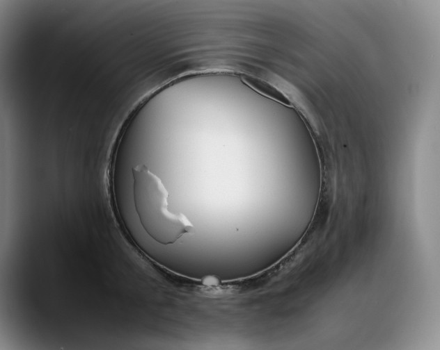 X0000088680805200706141353