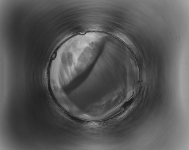 X0000088680806200706141353