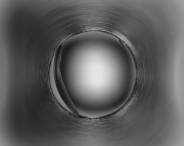 X0000088680809200706141353