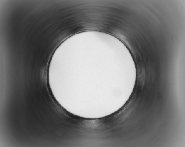 X0000088680810200706141353