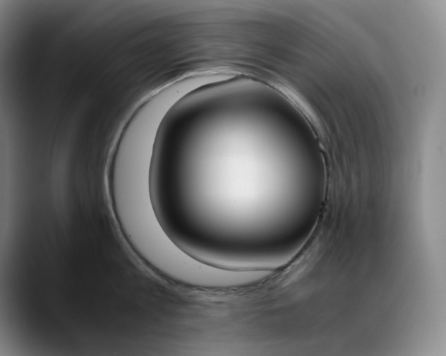 X0000088680813200706141353