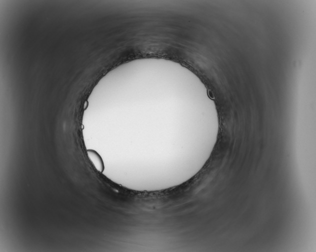 X0000088680817200706141352