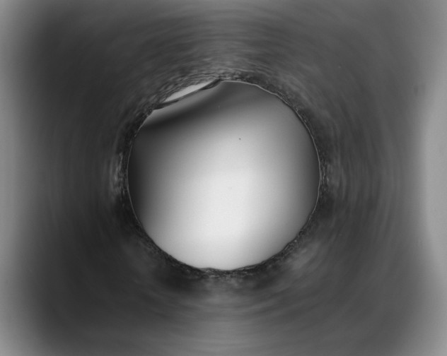 X0000088680818200706141352