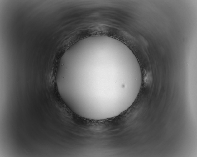 X0000088680819200706141352
