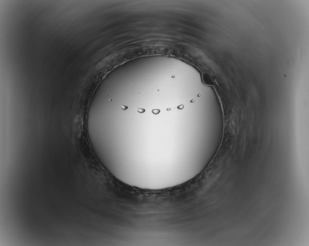 X0000088680821200706141352