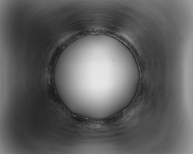X0000088680823200706141352