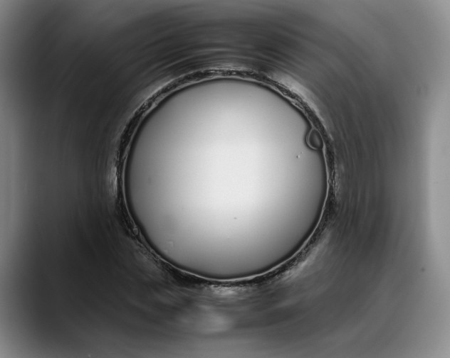 X0000088680829200706141353