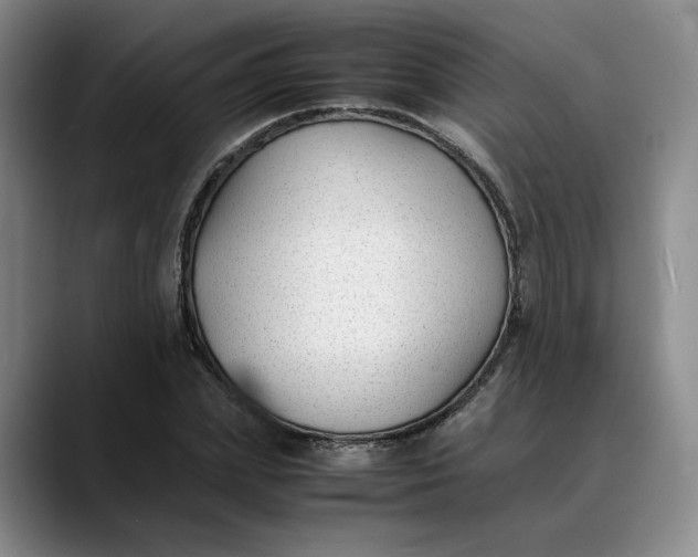 X0000088680831200706141353