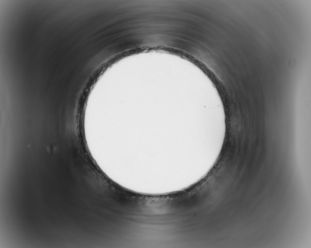 X0000088680832200706141353