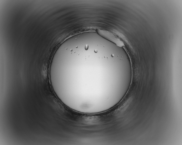 X0000088680833200706141353