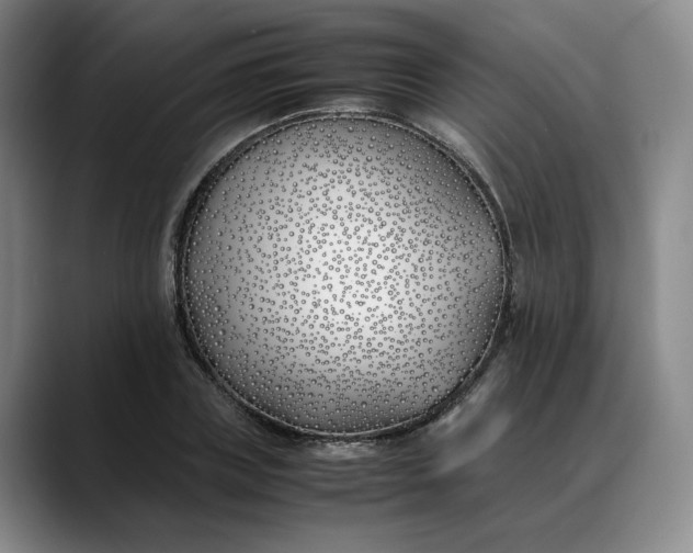 X0000088680835200706141353