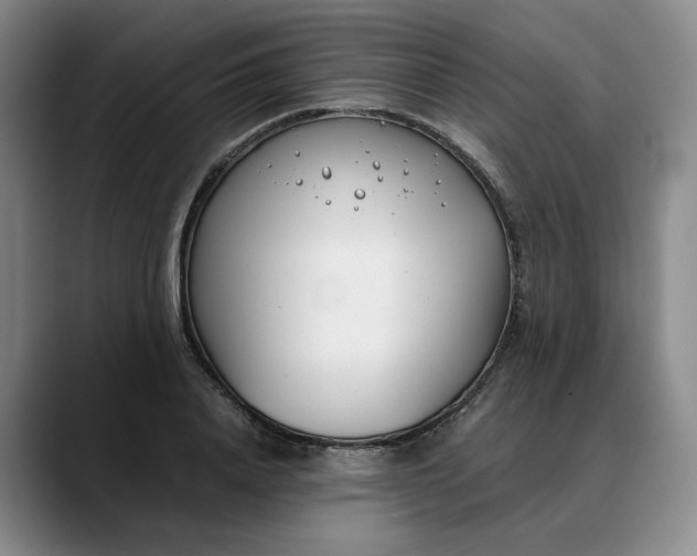 X0000088680840200706141353