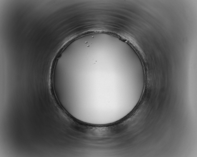 X0000088680845200706141353