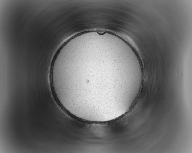 X0000088680847200706141353
