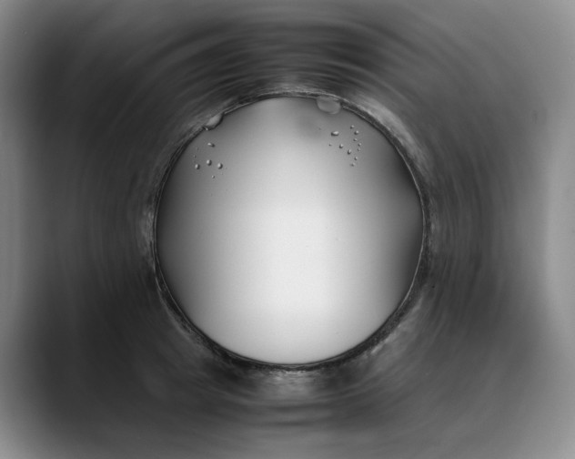 X0000088680849200706141353