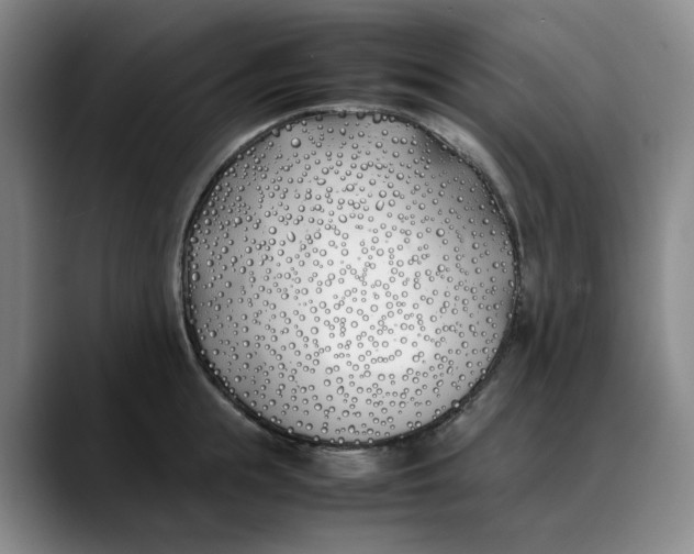X0000088680855200706141353