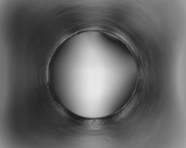 X0000088680858200706141353