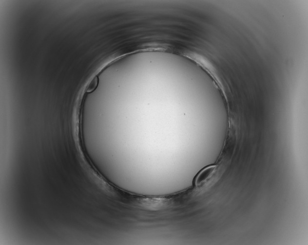 X0000088680859200706141353