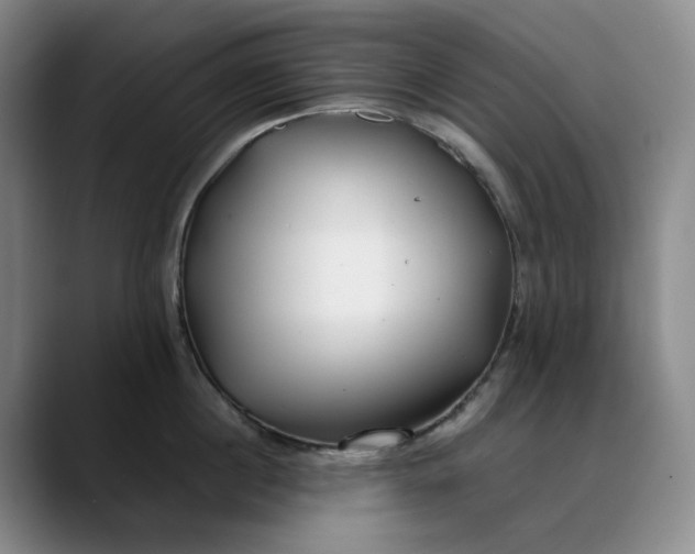 X0000088680860200706141353