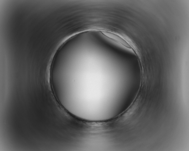X0000088680862200706141353