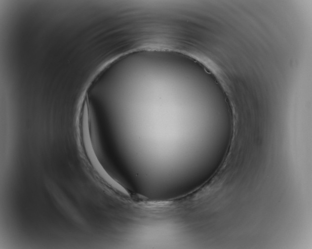 X0000088680864200706141353