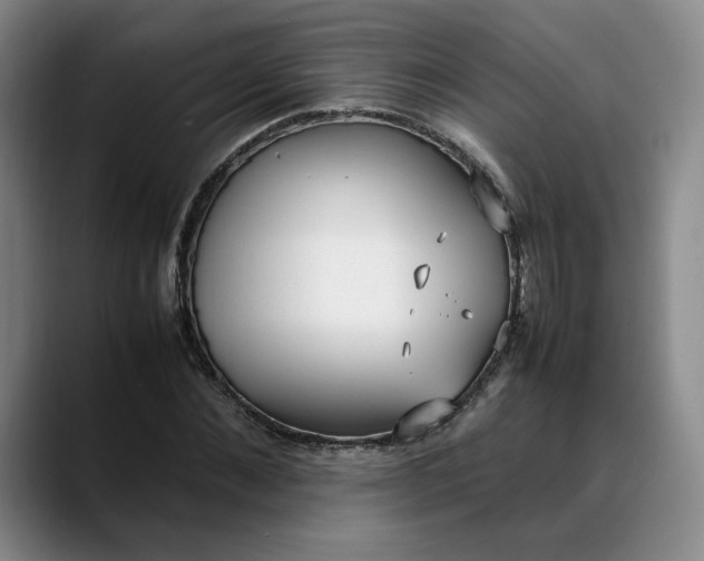 X0000088680876200706141352