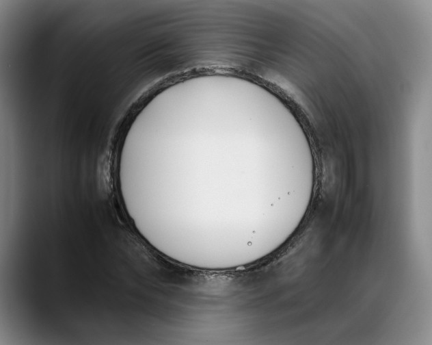 X0000088680878200706141352