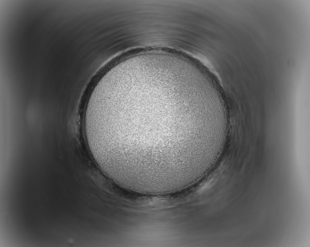 X0000088680879200706141352