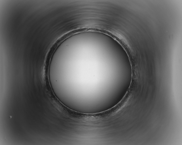 X0000088680880200706141352