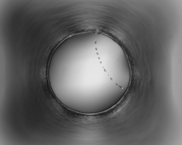 X0000088680881200706141352