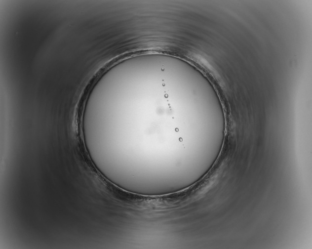 X0000088680883200706141352