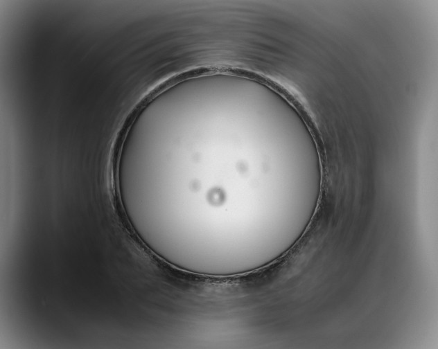 X0000088680887200706141352