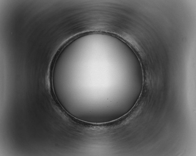 X0000088680888200706141352