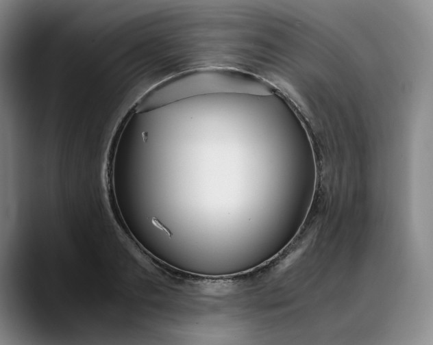 X0000088680893200706141352