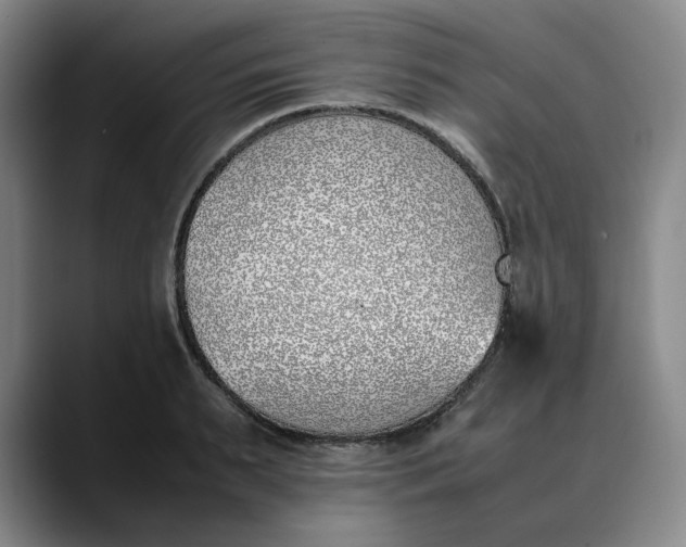 X0000088680895200706141352