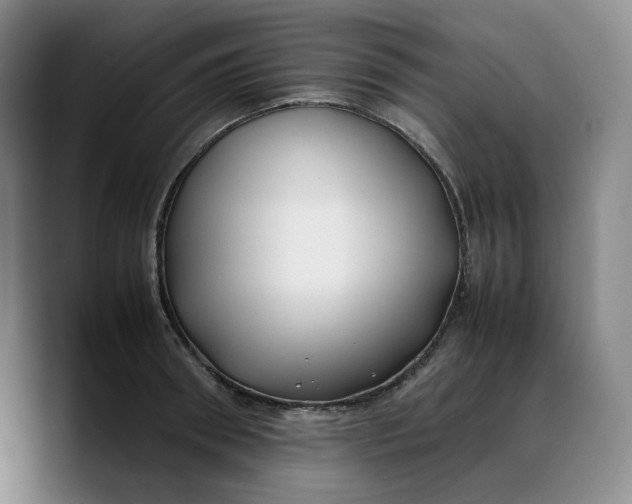 X0000088680898200706141352