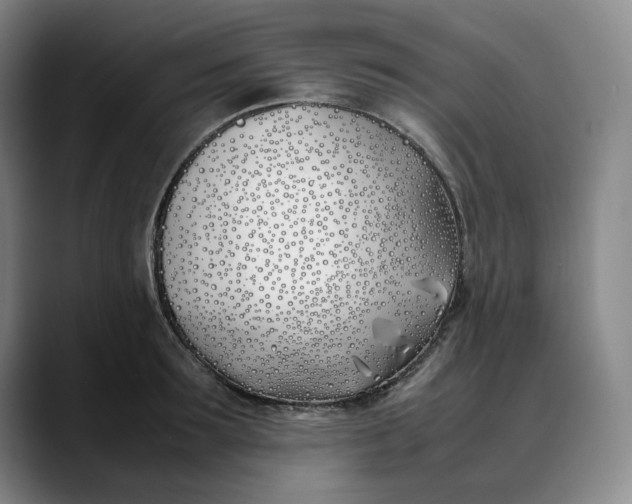 X0000088680899200706141352