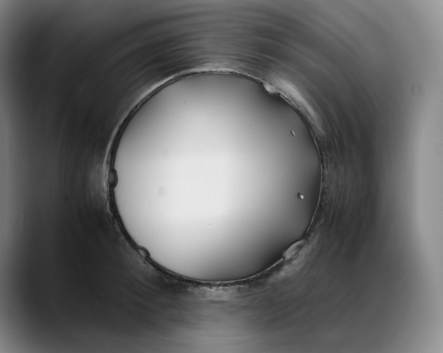 X0000088680900200706141352