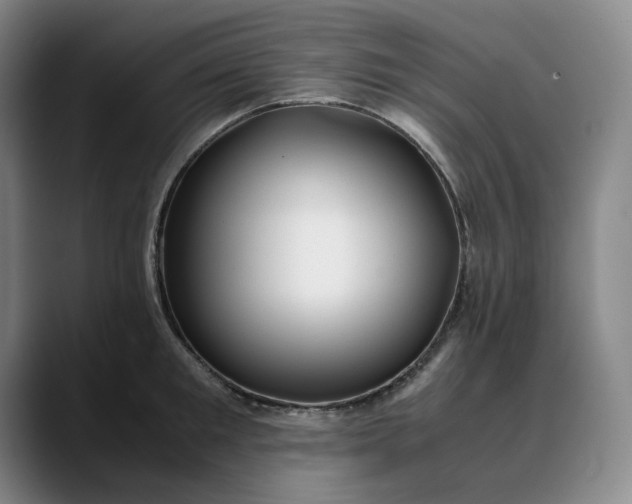 X0000088680901200706141352