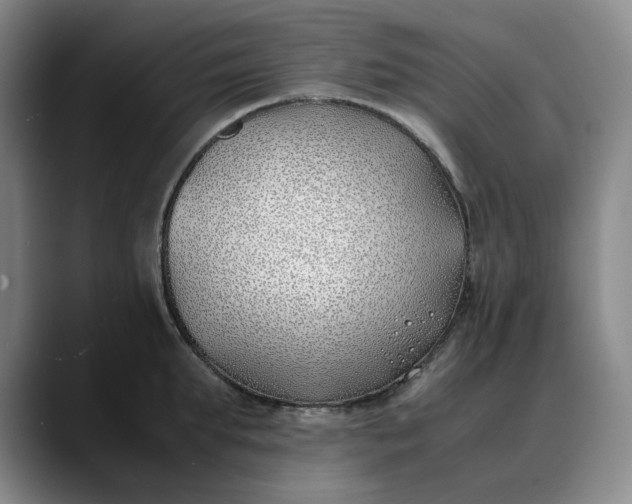 X0000088680903200706141352